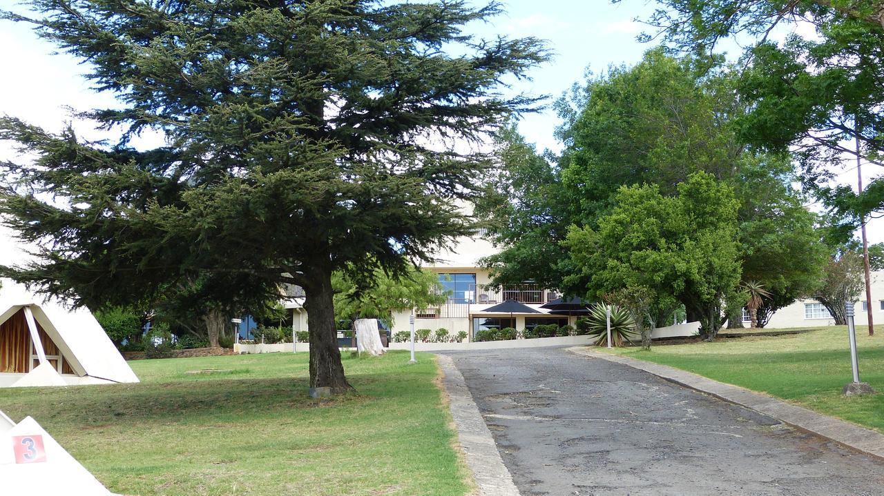 Pyramids Van Reenen