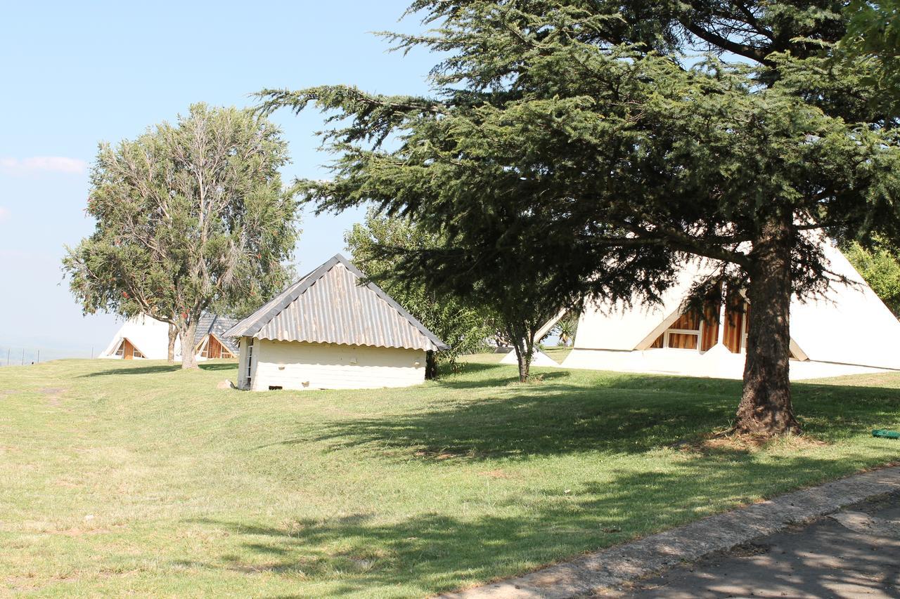 Pyramids Van Reenen
